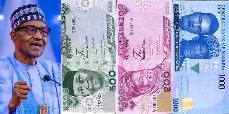 See redesigned naira notes FG unveiled to general public 9 New Notes